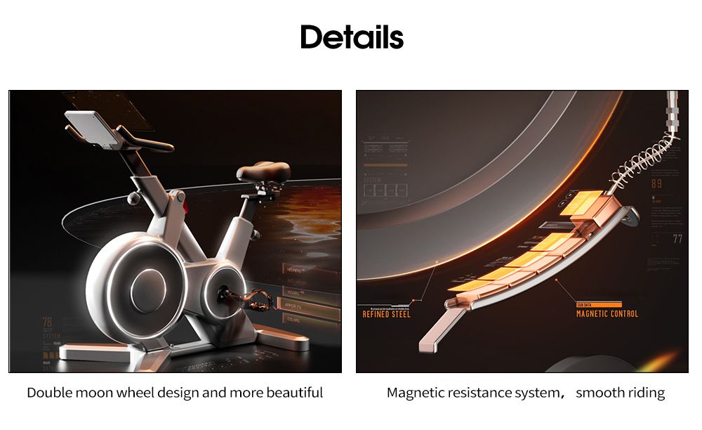 Fully Enclosed Magnetic Control Spinning Bike