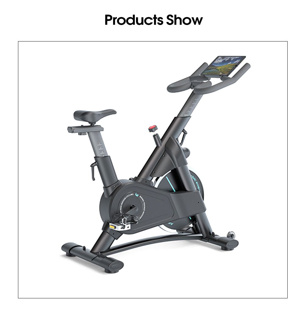 Indoor Stationary Exercise Spinning Bike