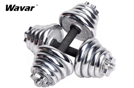 Dumbbell Workouts