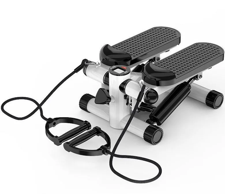 Household Multifunctional Twister Stepper