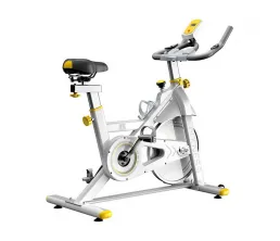 Upright Indoor Silent Spin Bike