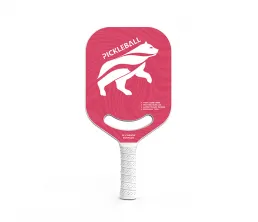 Carbon Fiber One-piece Racket