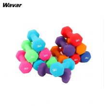 Customized solid cast iron ladies dip dumbbells are made with a high-quality cast iron core and dip process that is very durable and wont break or bend after multiple uses.