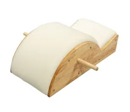 Pilates Spine Corrector