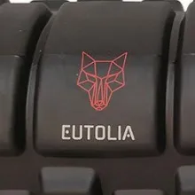 Custom Foam Roller Logo&Brands