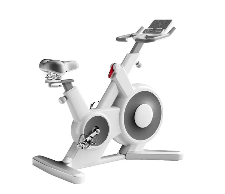 Fully Enclosed Magnetic Control Spinning Bike