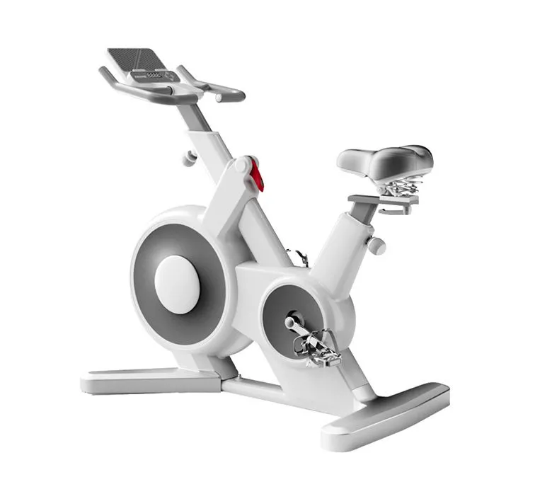 Fully Enclosed Magnetic Control Spinning Bike