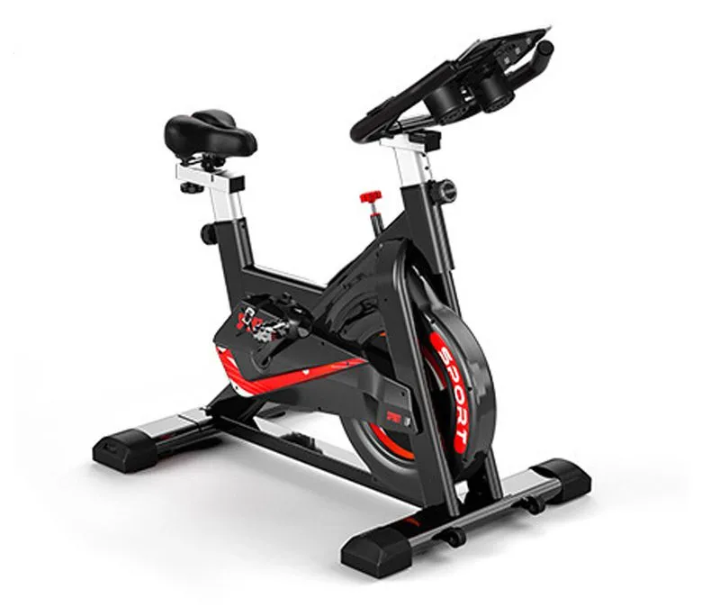 Indoor Mute Exercise Bike