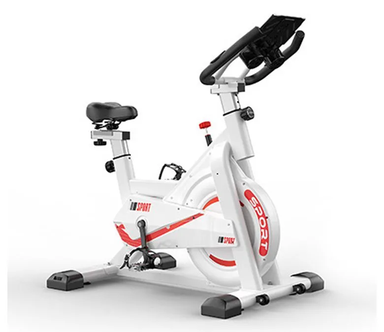 Indoor Mute Exercise Bike