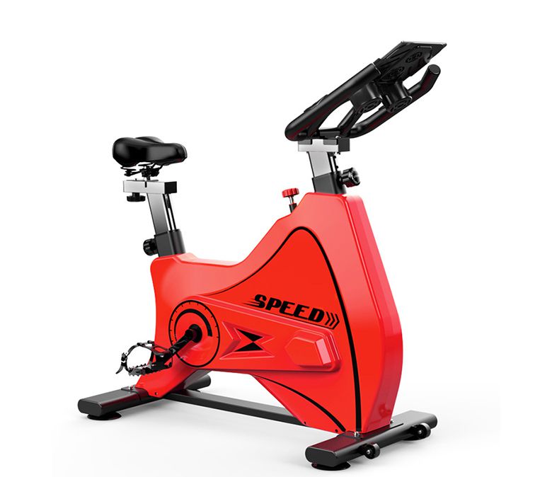 Fitness Spin Exercise Bike