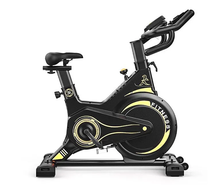 Magnetic Control Spinning Bike