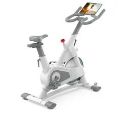 Indoor Stationary Exercise Spinning Bike