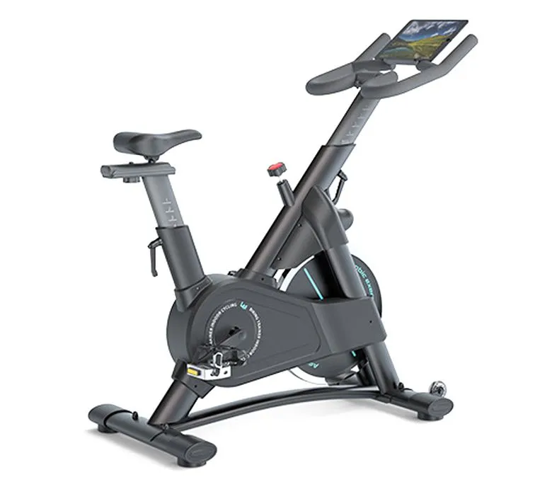 Indoor Stationary Exercise Spinning Bike