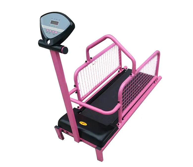 Pet Dog Running Training Machine