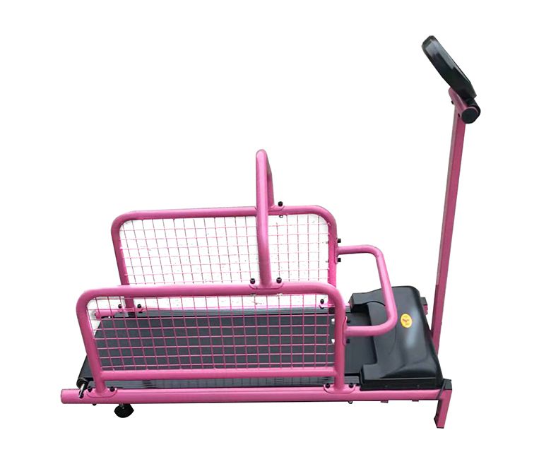 Pet Dog Running Training Machine