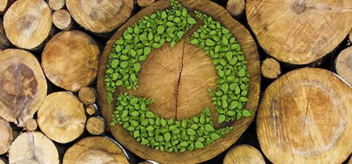 Sustainable Material